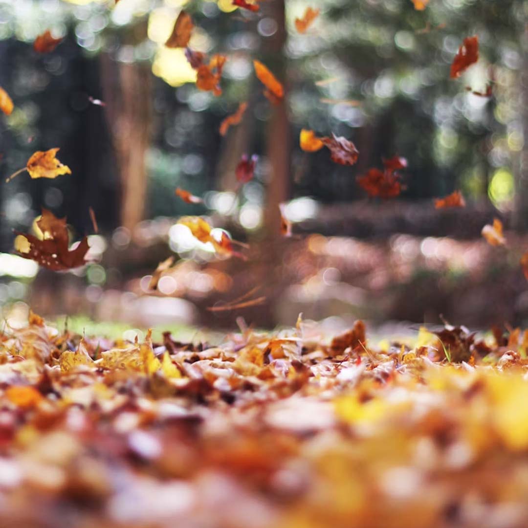 Is Fall a Good Time to Sell Houses in Nelson BC