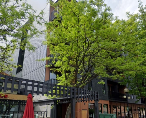 Nelson BC REALTOR® Offers Q4 Market Update